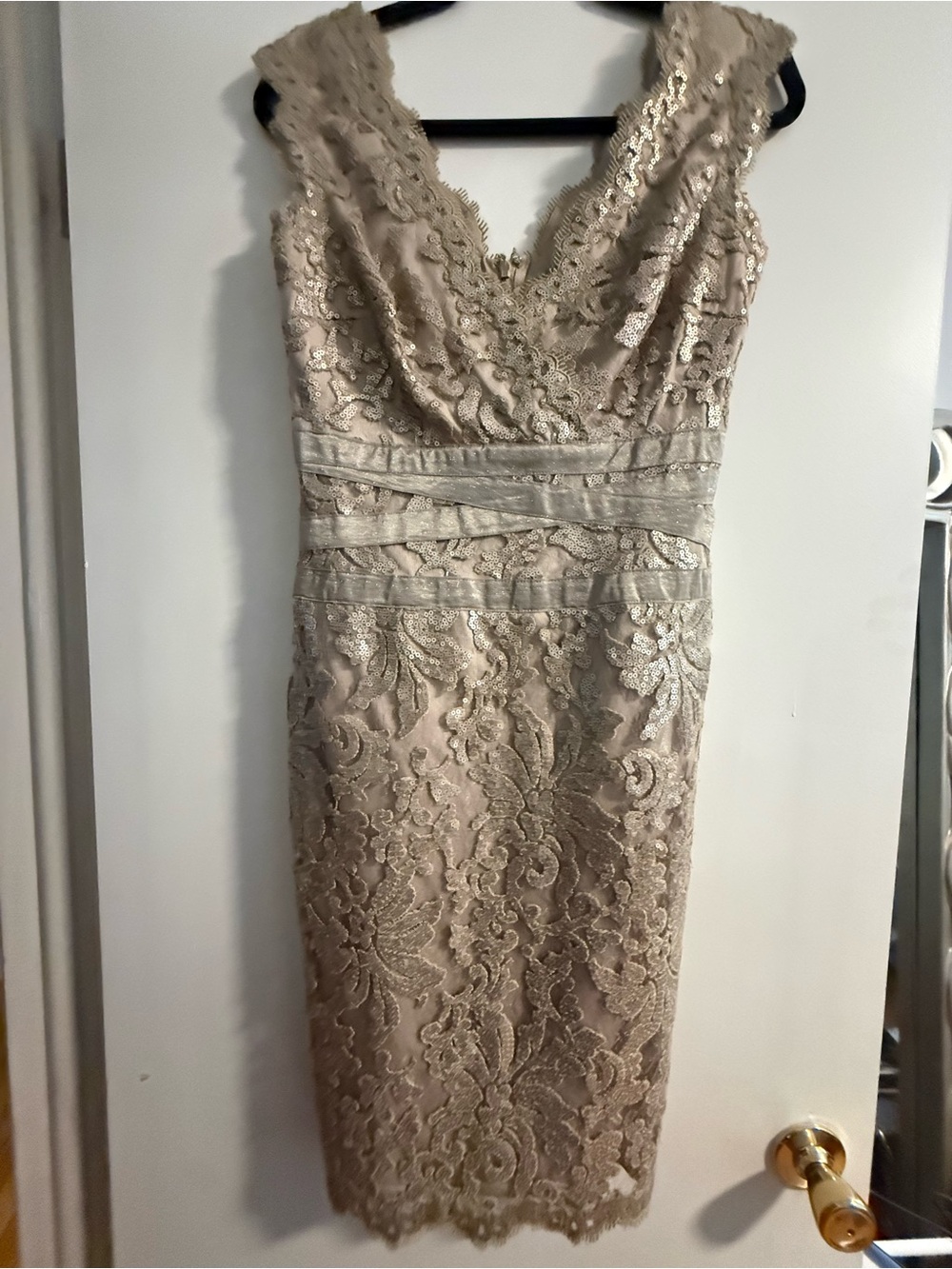 Tadashi Shoji Elegant Lace Sheath Dress in Champagne